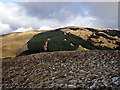 A view towards the forestry at Blaen-Peithnant in Blaenrheidol Community