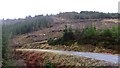 Forestry, Loch Carron in IV53 8UH