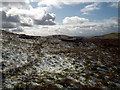 Looking south from beneath Drybedd in Blaenrheidol Community