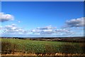 Farmland east of the A169 in YO21 1SA