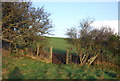 Bridleway through a hedge, Chilcombe Hill in DT2 9EQ