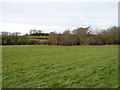 Fields near Buckland Newton in DT2 7BH