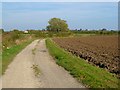 Track and farmland, Great Haseley in OX44 7BG