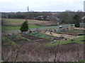 Moredon allotments, Akers Way in SN5 5DZ