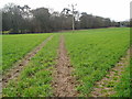 Bridleway 270 crossing crops in PO19 3GG