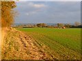 Farmland, Compton Bassett in SN11 8YB