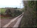 Minor road to Livingshayes in EX5 4JP
