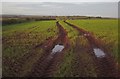 Track across field by the A3124 in EX20 2AA
