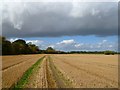 Farmland, Kingston Lisle in SN7 7SD