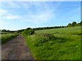 Track and farmland, Tangley in SP11 6HZ