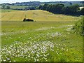 Farmland, Peasemore in RG20 7DA