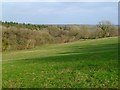 Pasture and woodland, Cold Ash in RG18 9JB