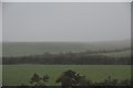 North Cornwall : Misty Scenery in PL30 5HG