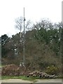 Communications Mast in BH20 7HU