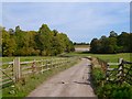 Road and pasture, Adwell in OX9 7DH
