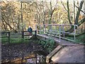 Footbridge on Monarch's Way in WV10 7JE