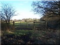 Field gate near Dibden in SO45 5TD
