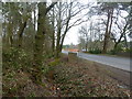 Wareham Forest, Stroud Bridge in BH20 7BZ