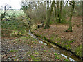 Stream leaving Roundacre Wood in TN40 2QP