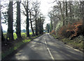 Horsepond Road south of Withy Copse in RG4 9BG