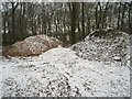 Gravel heaps - Pachington Copse in SP11 7AN
