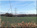 Power lines north of Mead Lane in RG8 8LR