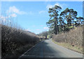 B4393 approaching Tycrwyn from the east in SY22 5HY
