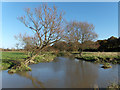 The River Wey in GU10 5EP