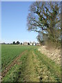 Distant Houses in Stour Valley South Ward