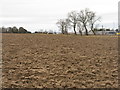 Newly ploughed field by the B1377 in EH39 5AP