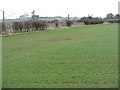 Winter cereals near Drem in EH39 5AP