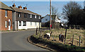 Southminster Road, Asheldham in Asheldham