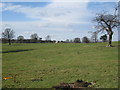 View across the Park to Stoke Hall in East Stoke