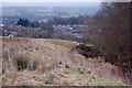 Field by the Lawhead Burn, Penicuik in EH26 0HS