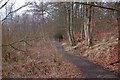 Path in Lowrie's Den in EH26 9JE