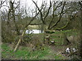 Wayside pool and stile near Lake House Ground in Newcastle on Clun