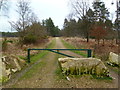 Bloxworth Heath, gate in BH20 7BZ