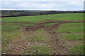 Arable field near Longstone in PL30 3DA