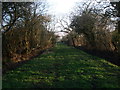 Bridleway near Winkworth Cottage in SN16 9PG
