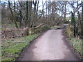 Bridge in Colham Lane at Hollowells in TA20 4JP