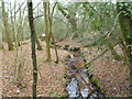 East Stoke, Holy Stream in BH20 6HJ