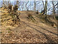 Erosion in Darenth Wood in DA2 7JE