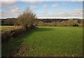 Field near Churchstanton in TA3 7QE