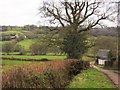 Lane into the Otter valley in EX14 9PB