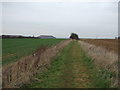 Bridleway towards Fulbeck in NG32 3EL