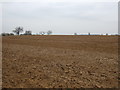 Farmland near Caythorpe in NG32 3EL