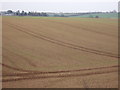 Farmland, Rauceby Grange in North Rauceby