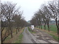 Track to Rauceby Grange in North Rauceby