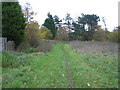 Path above Castle Eden Dene in SR8 1PW