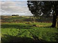 Meadow above the Yarty valley in TA20 3RY